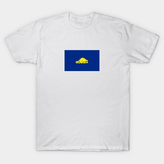 Oregon State Flag, The B Side T-Shirt by Lucha Liberation